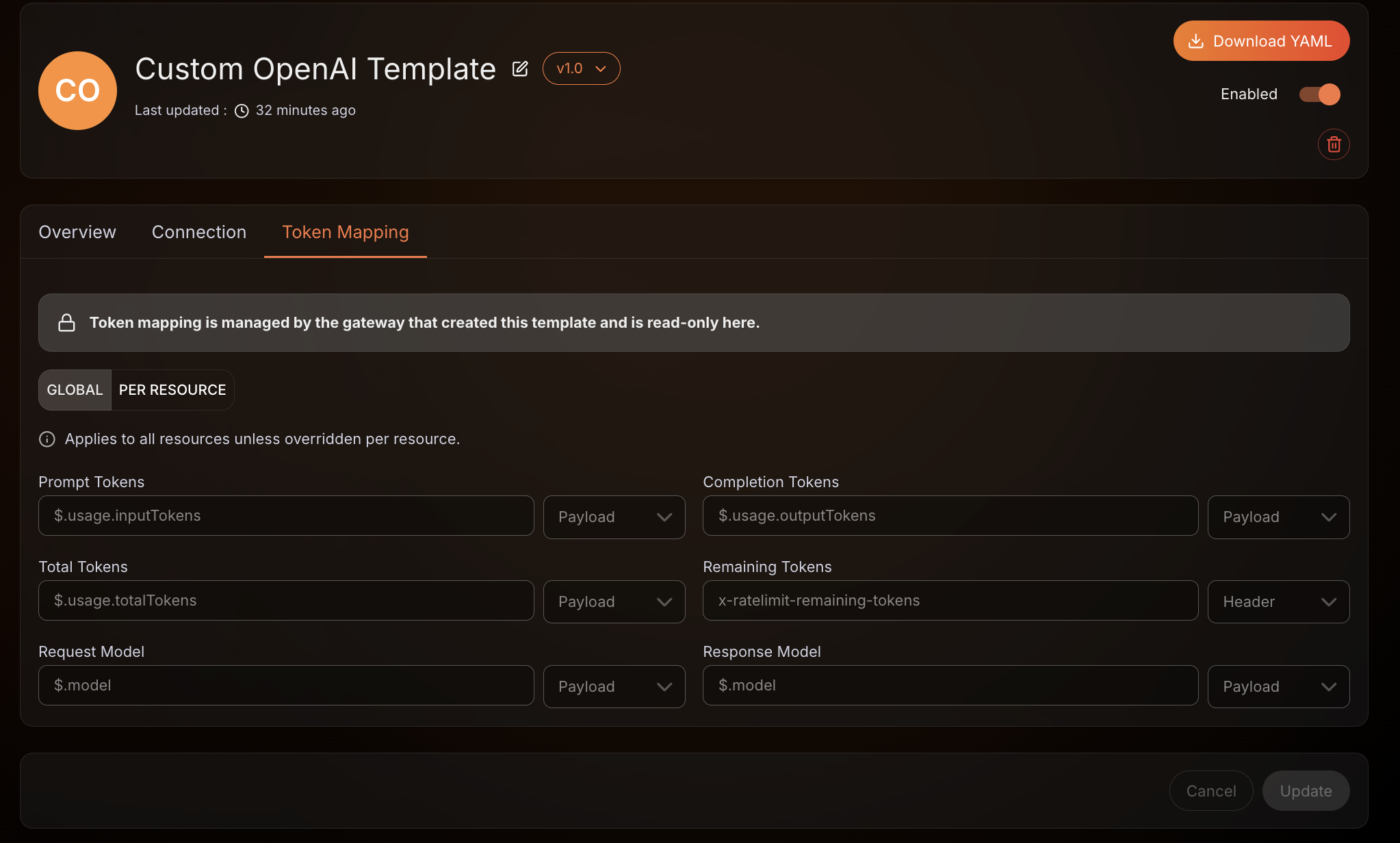 Token Mapping of DP origin LLM provider template