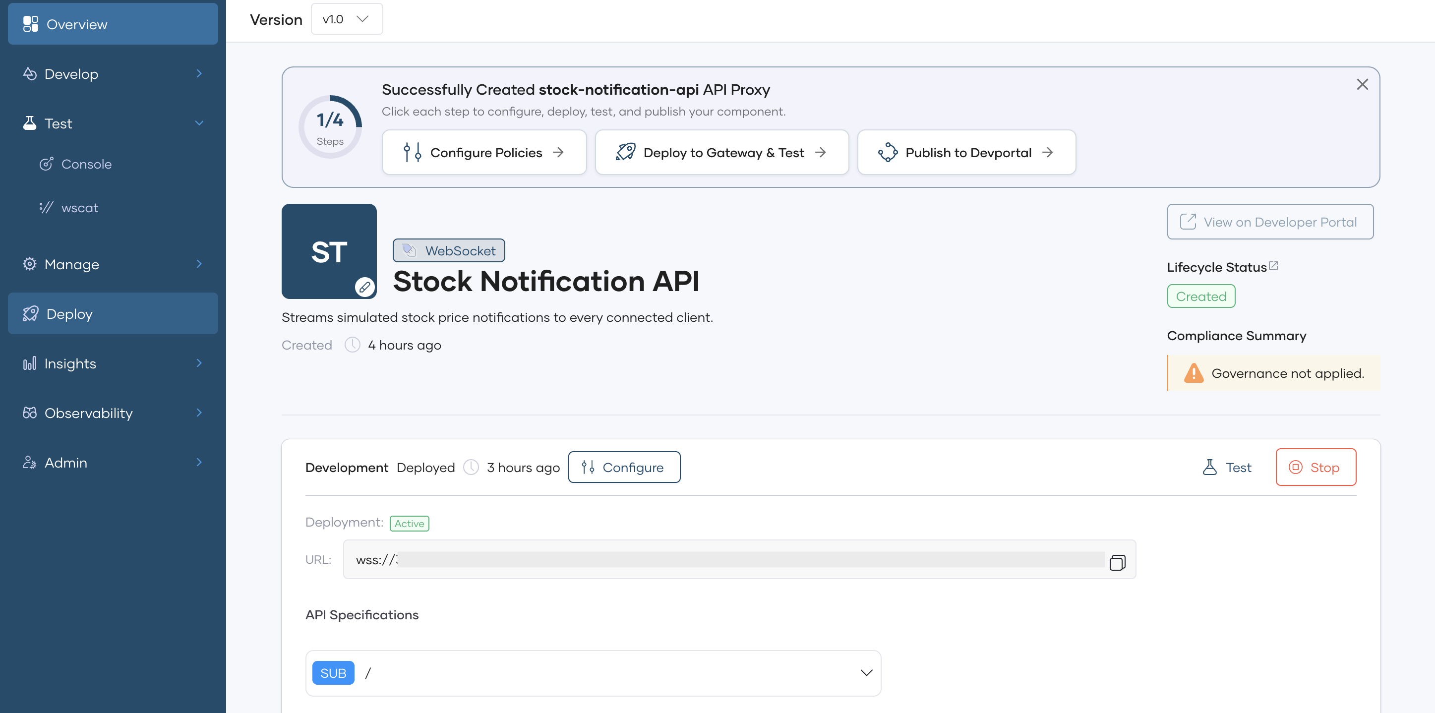 WebSocket API proxy details with Target set to the public wss URL