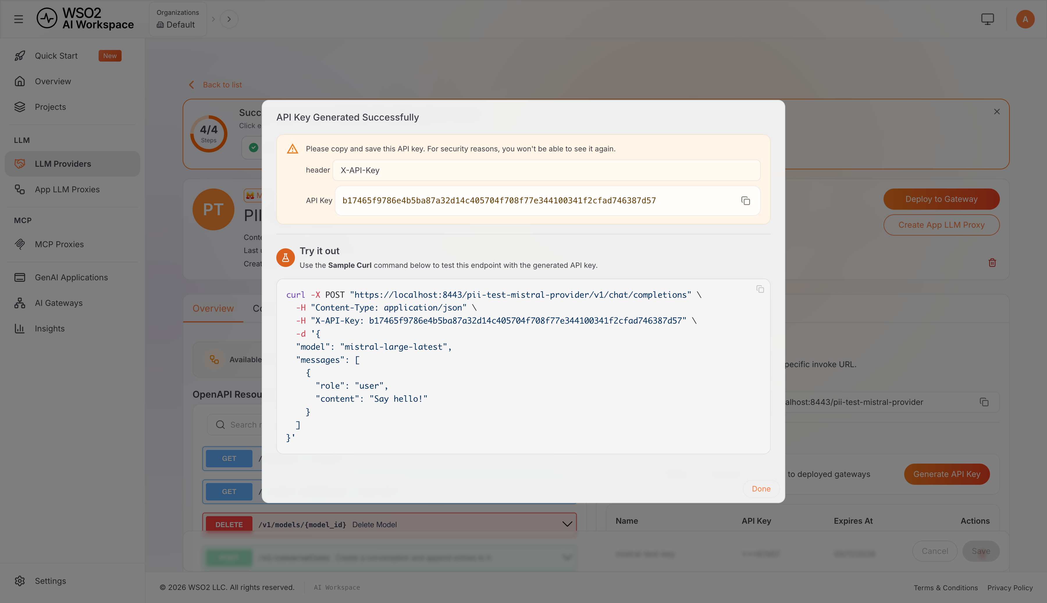 API Keys panel with a generated key, and the provider's sample curl command