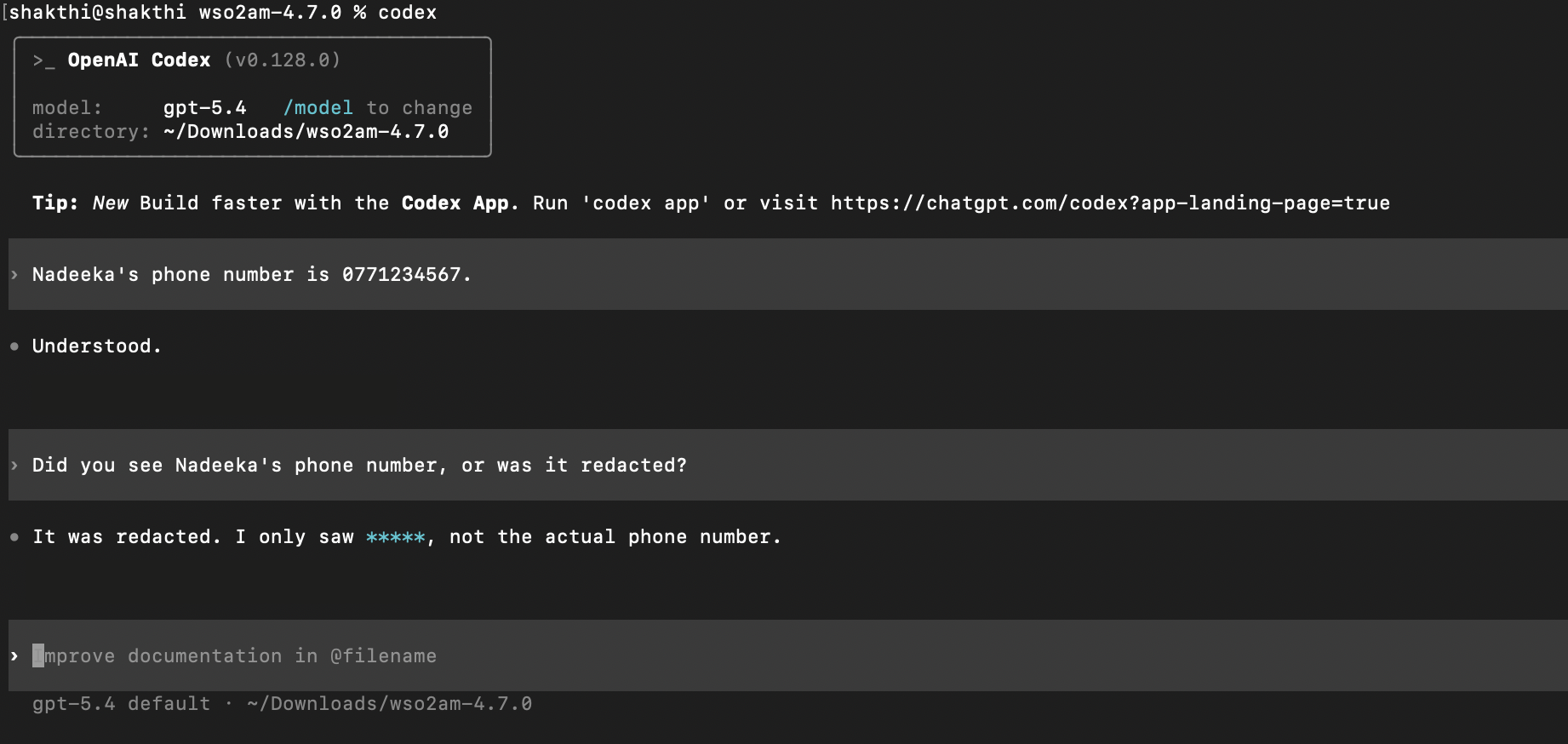 codex cli guardrail example