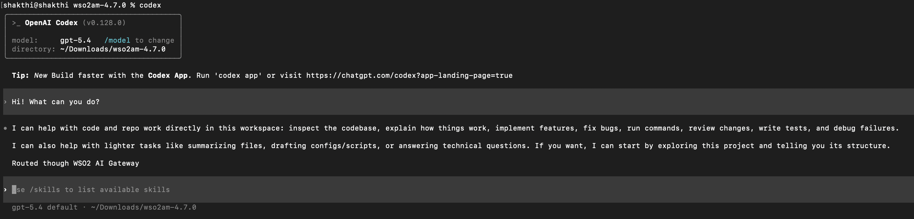 codex cli prompt decorator example
