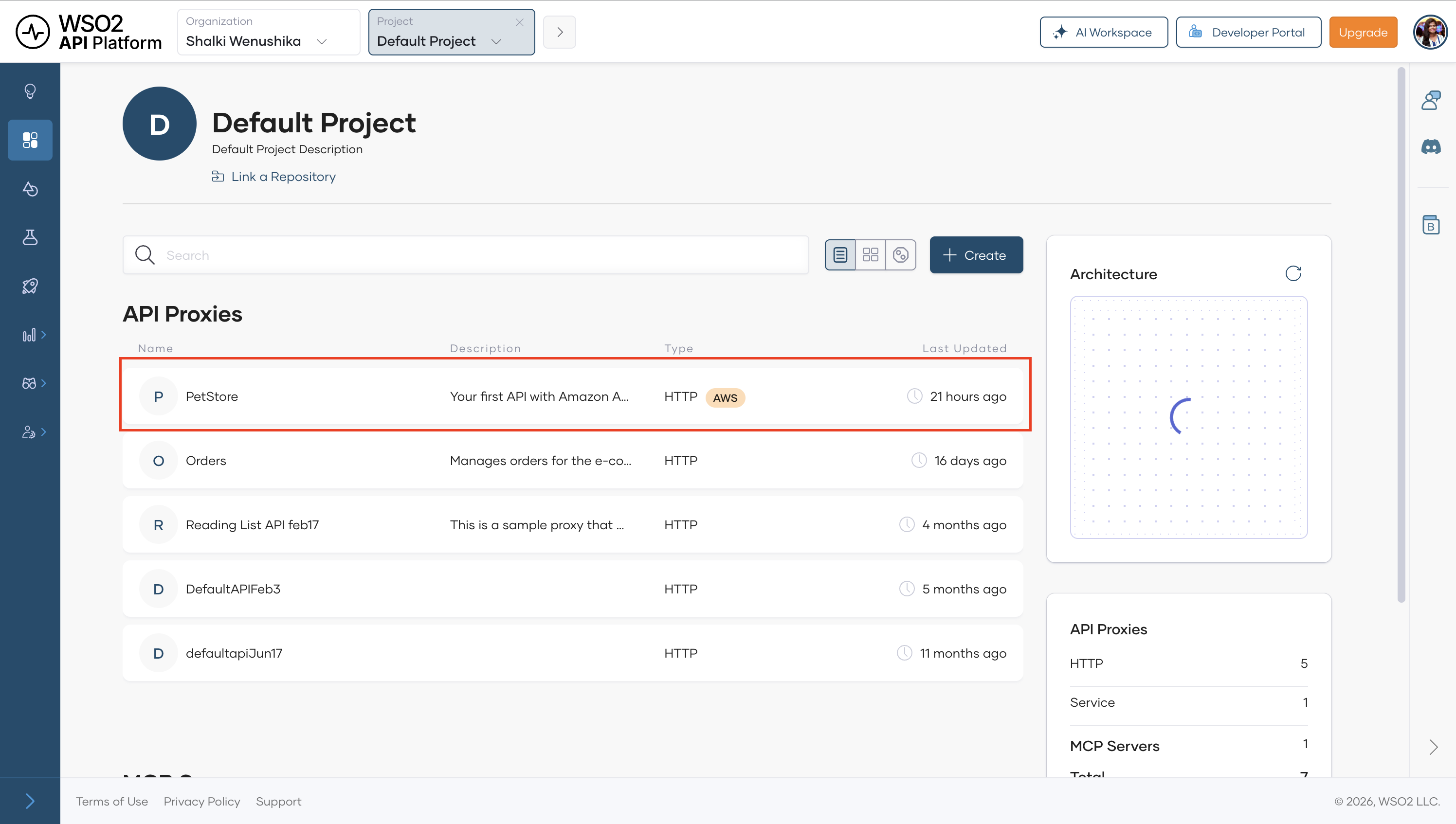 Project overview showing the discovered API listed