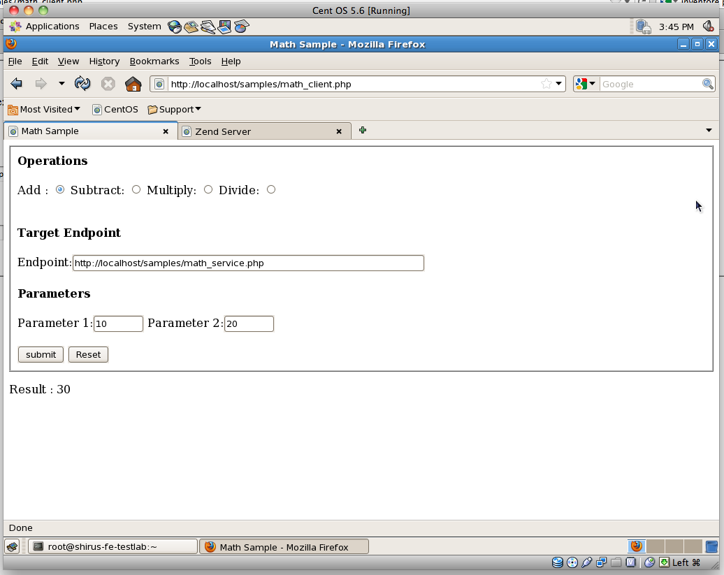 Figura 3 - Esempio di una calcolatrice via Web Services