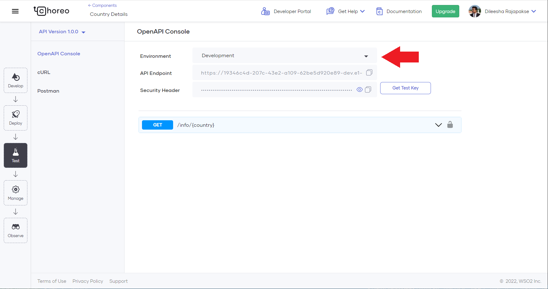 How to Test Your API Comprehensively Using Choreo