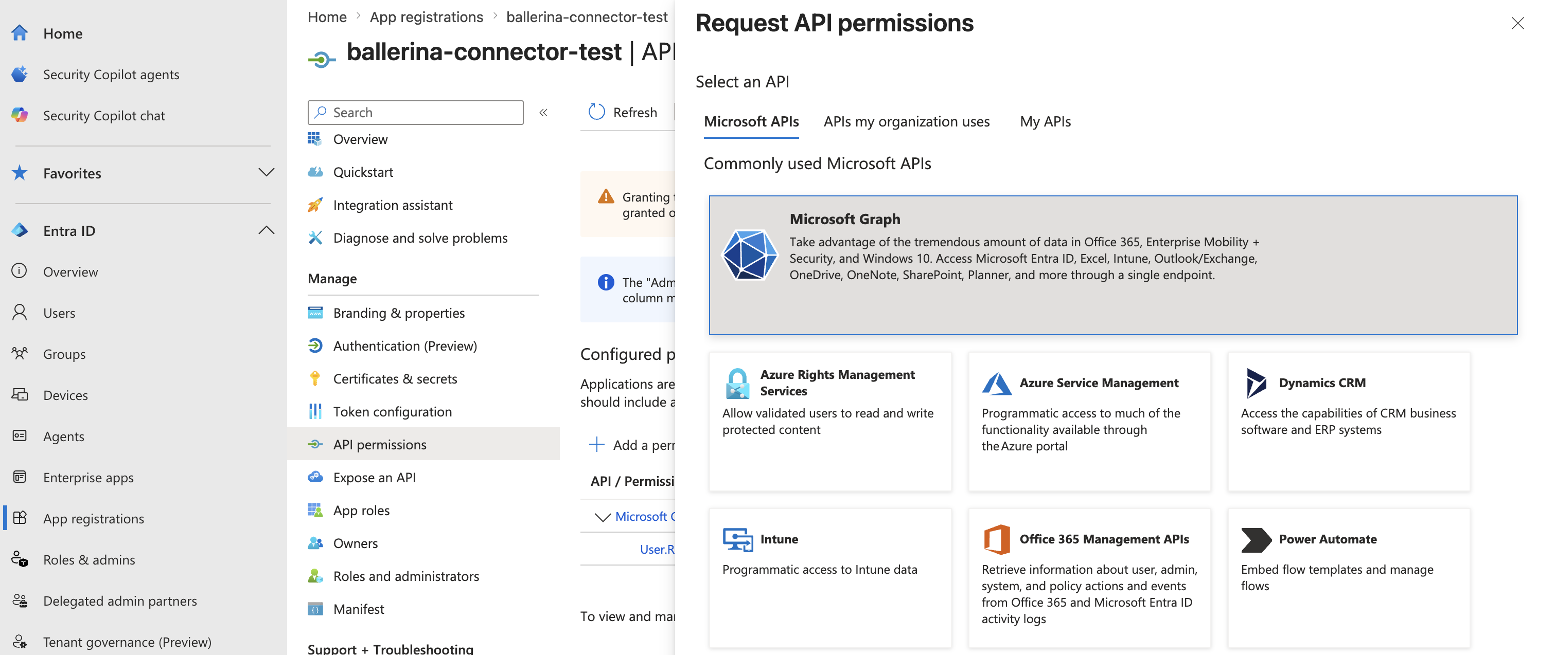 Microsoft Graph API permission