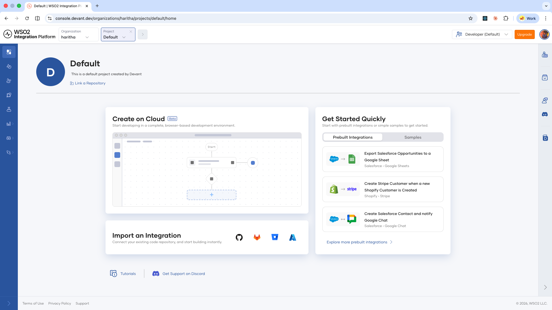 Project overview page after creating an organization