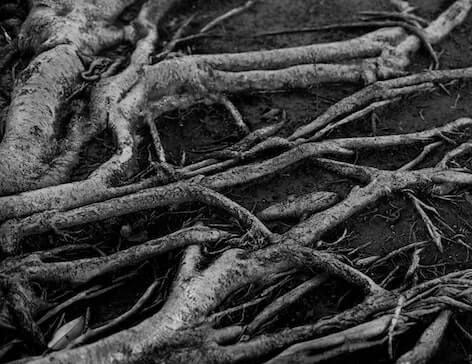 How to Perform a Root Cause Analysis by Monitoring Your APIs